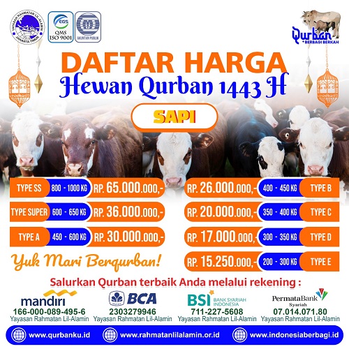 Mau Beli Hewan Qurban Online