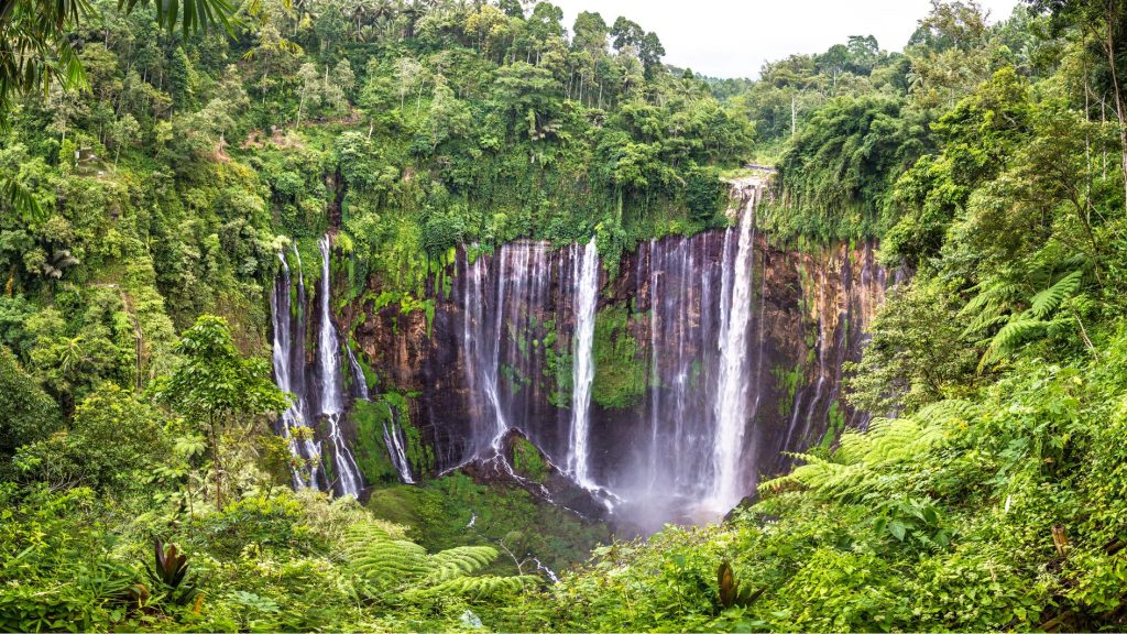 Curug Tumpak Sewu, Jawa Timur